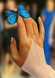 Бабочка и пальчик