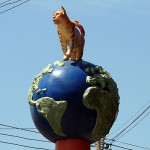 кот на земном шареs-1049